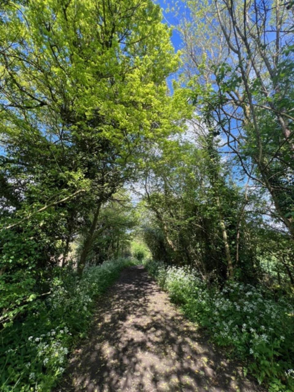 Willa Idyllic Secluded Hideaway With Countryside Views On The Edge Of The Cotswolds Hailey Zewnętrze zdjęcie